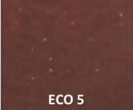 ECO 5